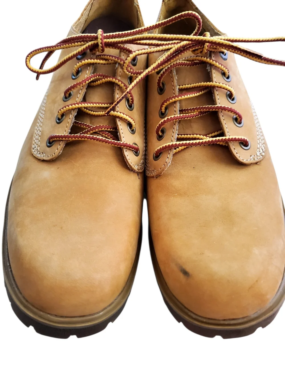 Timberland Women's 10 Wheat Nubuck Oxford Low Cut LaceUp Waterproof  Fall Hiking